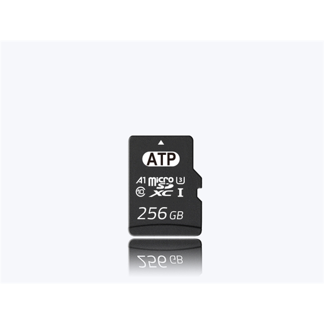 AF256GUD4-BBAIM ATP Electronics, Inc.
