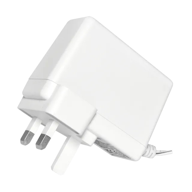 SWI36-24-BW-P5R CUI Inc.