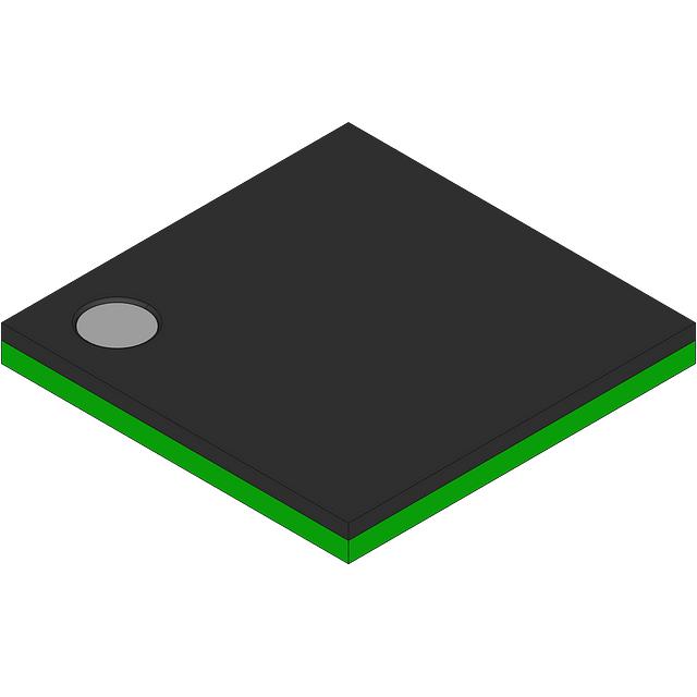 DF2215RBR24V Renesas