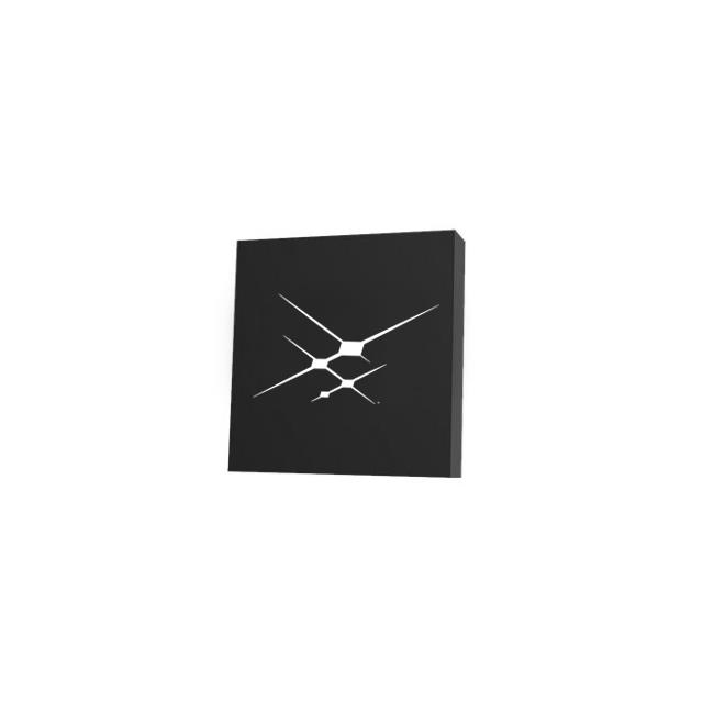 596FQ000270DG Skyworks Solutions Inc.