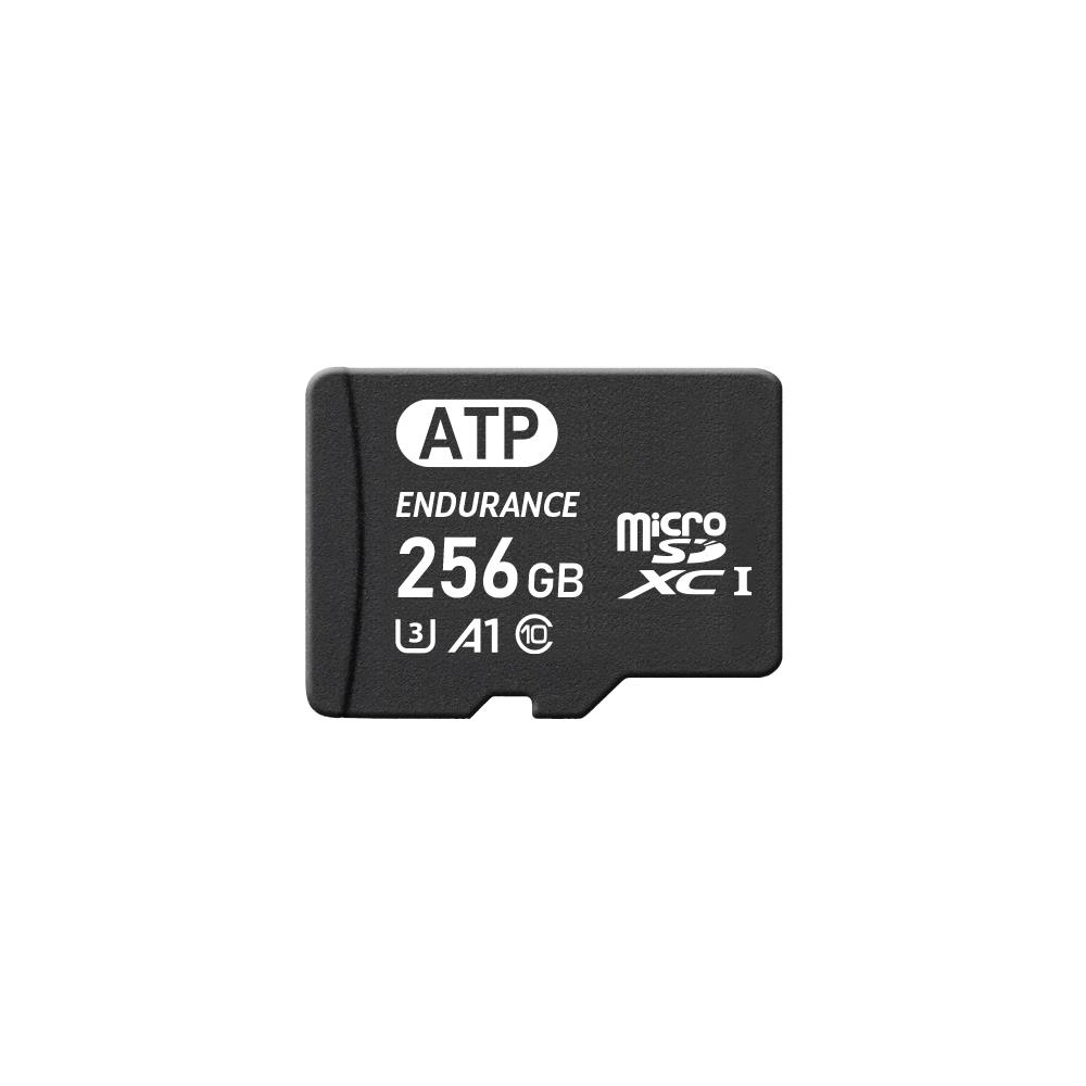 AF256GUD4-EBAIM ATP Electronics, Inc.